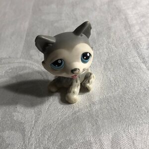 Littlest Pet Shop #70 Husky Dog LPS